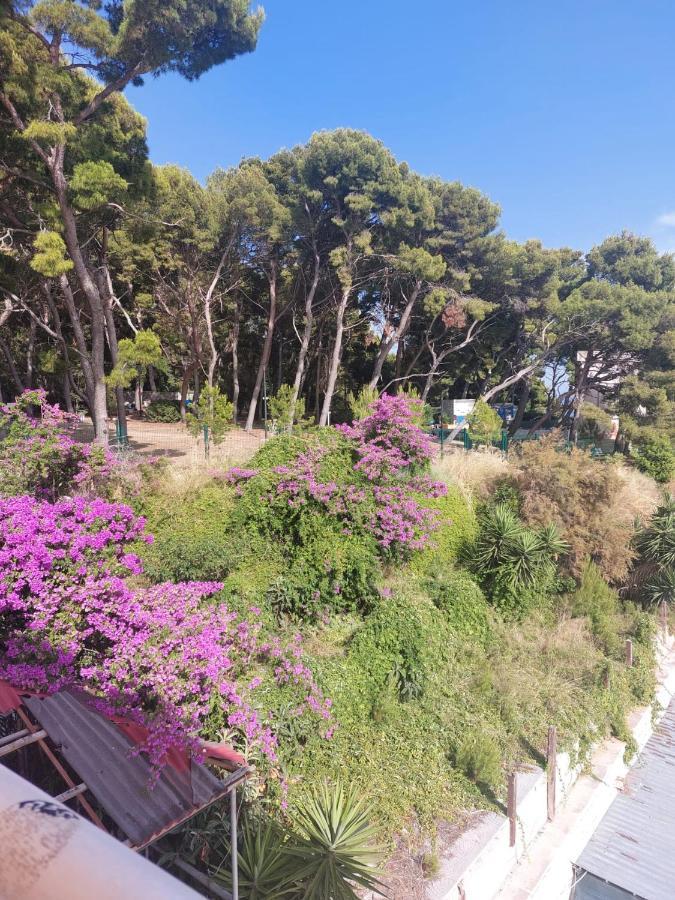 Zoxi Apartmani Split Dış mekan fotoğraf